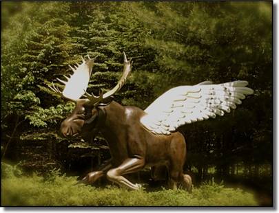 flying moose