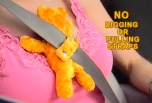 HEY BEAR WHAT THE HELL ARE YOU DOING WITH MY WIFE