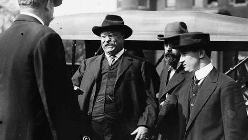 teddy roosevelt