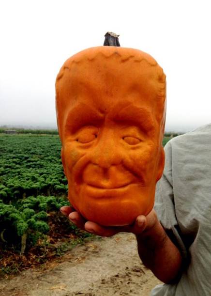 frankenstein pumpkin