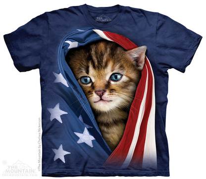 patriotic kitten