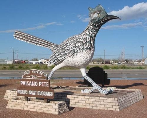 that's one big ass road runner