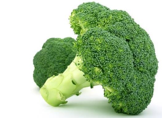 broccoli oh no