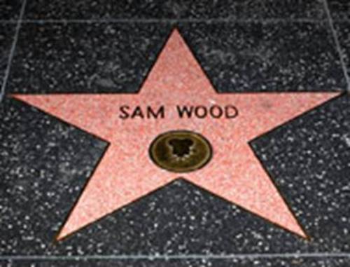 sam wood