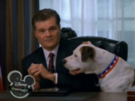 the pooch and the pauper