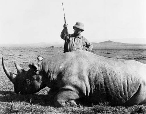 teddy roosevelt hunting